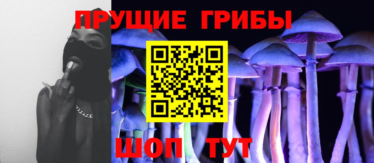 Псилоцибиновые грибы мухоморы Новороссийск